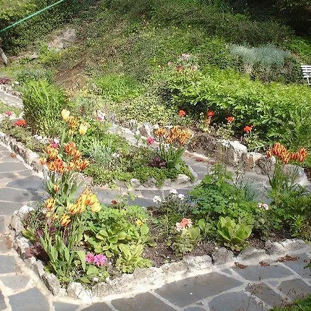 לינה וארוחת בוקר 