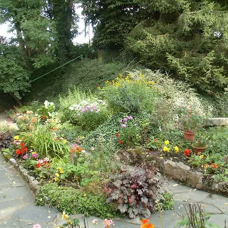 לינה וארוחת בוקר 