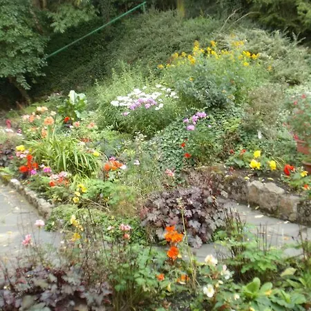 לינה וארוחת בוקר 